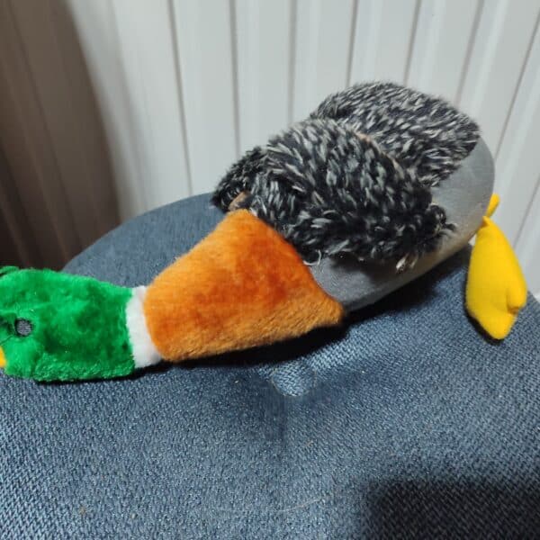 Image du produit suivant