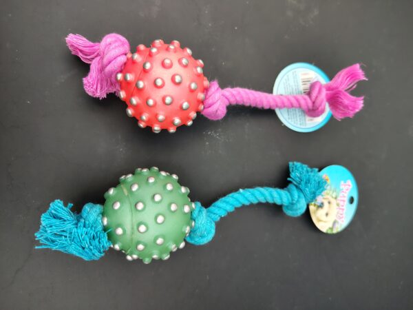 Corde pour chiot
