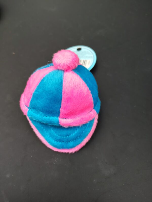 Jouet pour chiot : casquette