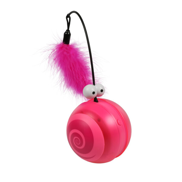 Coockoo flip rose